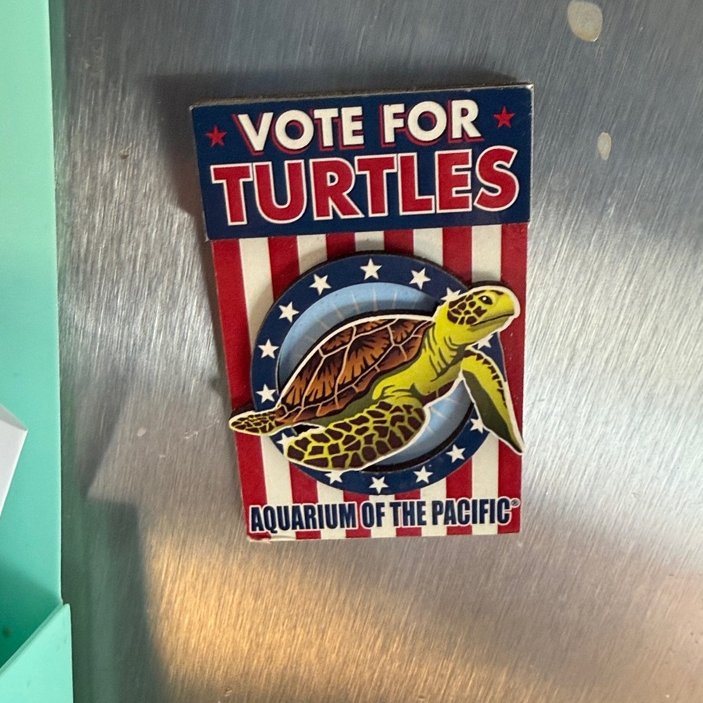 Vote for Turtles magnet